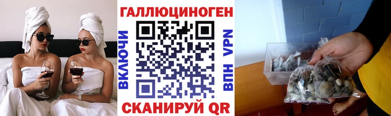 где купить наркоту  Амурск  Галлюциногенные грибы ЛСД 